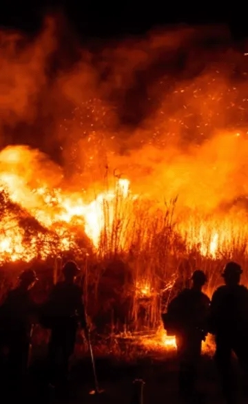 ¡Riot Games lanza eventos dentro del juego para recaudar fondos para las víctimas del incendio de Los Ángeles!